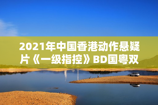 2021年中国香港动作悬疑片《一级指控》BD国粤双语中字