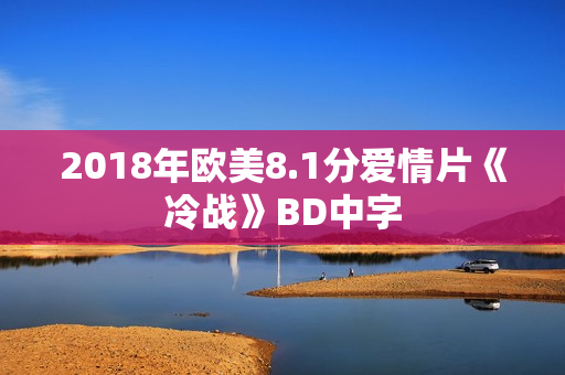 2018年欧美8.1分爱情片《冷战》BD中字