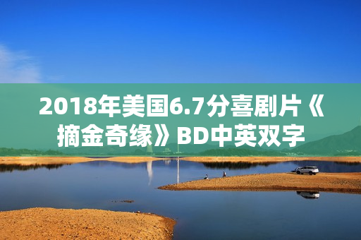2018年美国6.7分喜剧片《摘金奇缘》BD中英双字