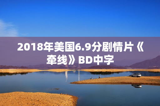 2018年美国6.9分剧情片《牵线》BD中字
