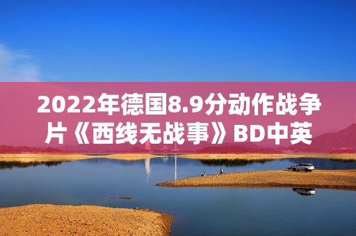 2022年德国8.9分动作战争片《西线无战事》BD中英双字