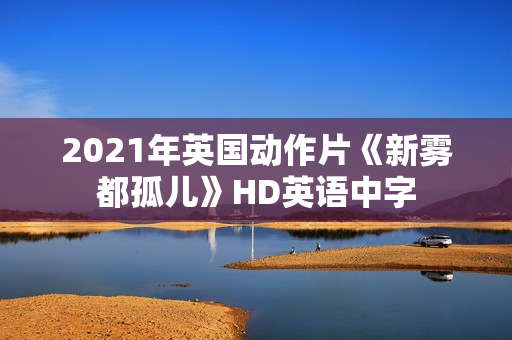 2021年英国动作片《新雾都孤儿》HD英语中字