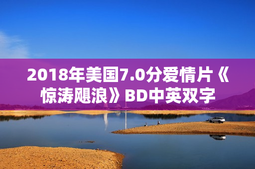 2018年美国7.0分爱情片《惊涛飓浪》BD中英双字