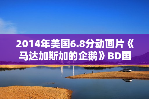 2014年美国6.8分动画片《马达加斯加的企鹅》BD国英双语双字
