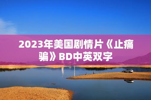2023年美国剧情片《止痛骗》BD中英双字