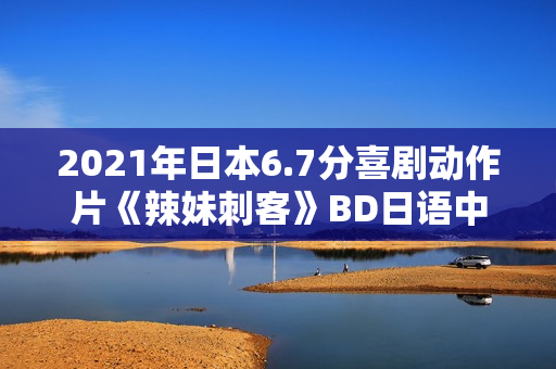 2021年日本6.7分喜剧动作片《辣妹刺客》BD日语中字