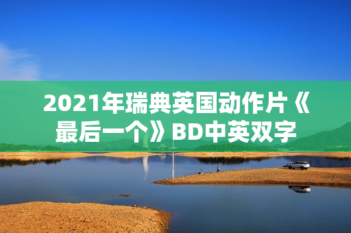 2021年瑞典英国动作片《最后一个》BD中英双字
