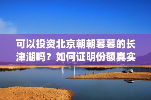 可以投资北京朝朝暮暮的长津湖吗？如何证明份额真实性？(可以投资北京朝阳公司吗)