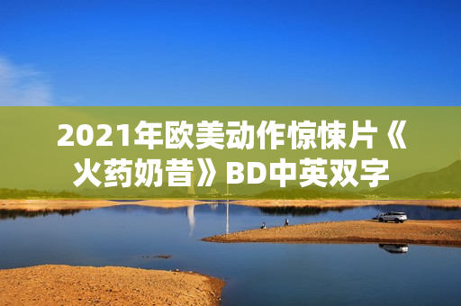 2021年欧美动作惊悚片《火药奶昔》BD中英双字