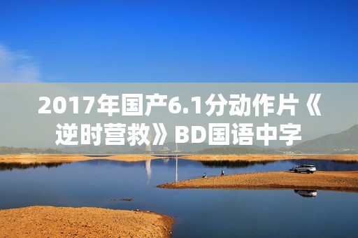 2017年国产6.1分动作片《逆时营救》BD国语中字