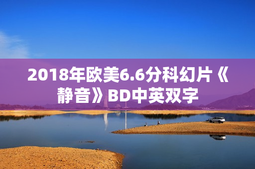 2018年欧美6.6分科幻片《静音》BD中英双字