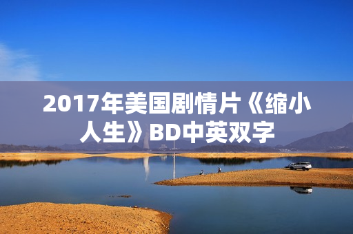 2017年美国剧情片《缩小人生》BD中英双字