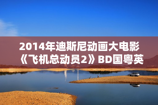 2014年迪斯尼动画大电影《飞机总动员2》BD国粤英3语双字