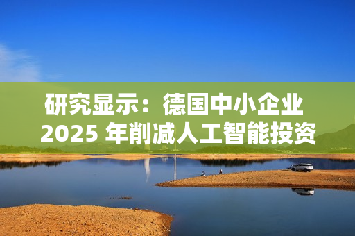 研究显示:德国中小企业 2025 年削减人工智能投资 研究显示:德国中小企业 2025 年削减人工智能投资