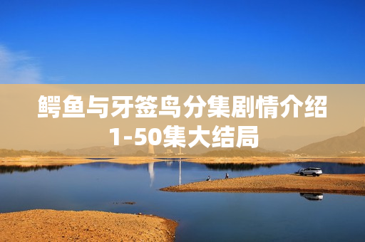 鳄鱼与牙签鸟分集剧情介绍1-50集大结局 鳄鱼与牙签鸟分集剧情介绍1-50集大结局