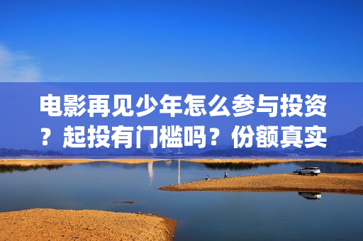 电影再见少年怎么参与投资？起投有门槛吗？份额真实吗？(再见少年咋样)