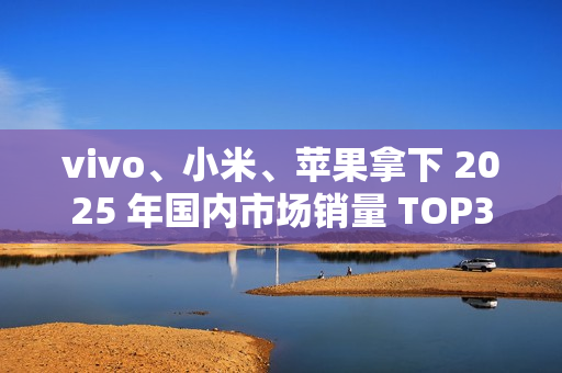 vivo、小米、苹果拿下 2025 年国内市场销量 TOP3，激活量超 4000 万