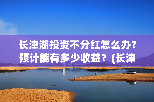 长津湖投资不分红怎么办？预计能有多少收益？(长津湖投资才5亿和13亿)