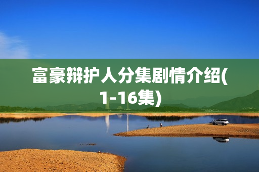 富豪辩护人分集剧情介绍(1-16集)