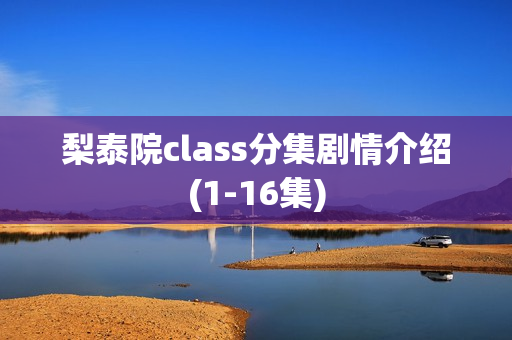 梨泰院class分集剧情介绍(1-16集)