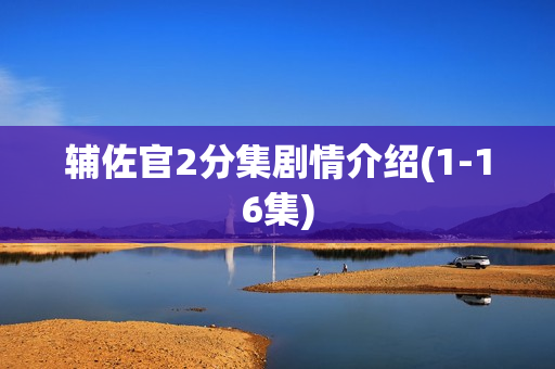 辅佐官2分集剧情介绍(1-16集)