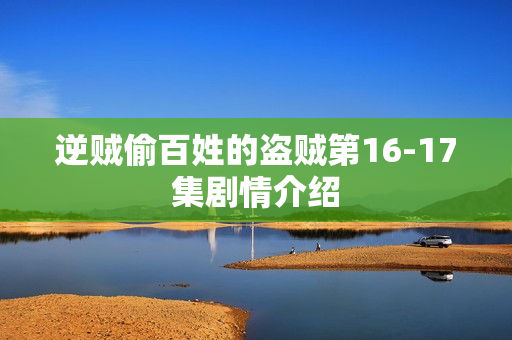 逆贼偷百姓的盗贼第16-17集剧情介绍