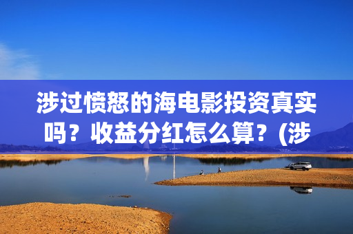 涉过愤怒的海电影投资真实吗？收益分红怎么算？(涉过愤怒的海电影讲解)