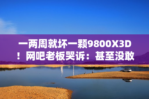 一两周就坏一颗9800X3D！网吧老板哭诉：甚至没敢开任何超频
