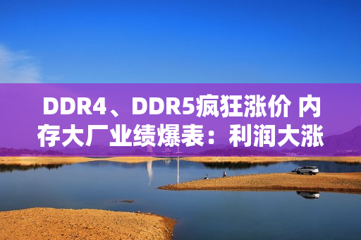 DDR4、DDR5疯狂涨价 内存大厂业绩爆表：利润大涨1500%!