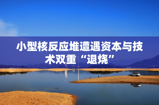 小型核反应堆遭遇资本与技术双重“退烧”