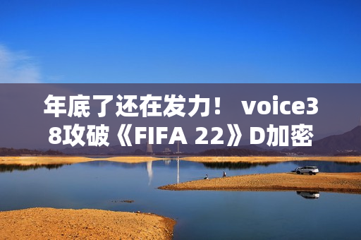 年底了还在发力！ voice38攻破《FIFA 22》D加密