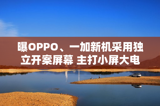 曝OPPO、一加新机采用独立开案屏幕 主打小屏大电池