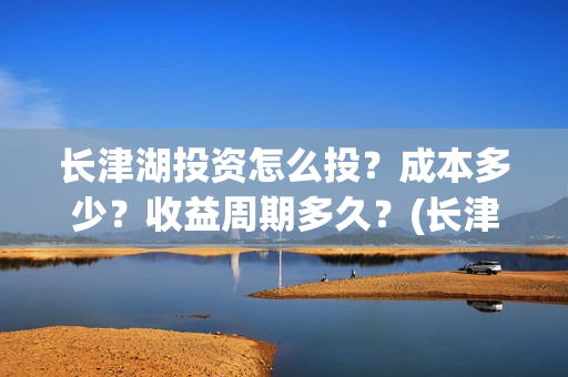 长津湖投资怎么投？成本多少？收益周期多久？(长津湖投资太大估计亏本)