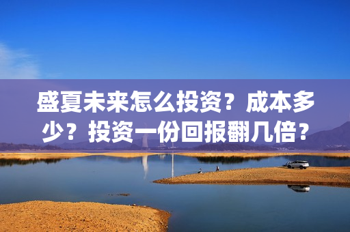 盛夏未来怎么投资？成本多少？投资一份回报翻几倍？(盛夏未来哪个平台)