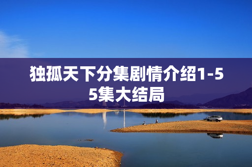 独孤天下分集剧情介绍1-55集大结局