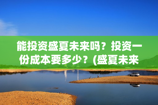 能投资盛夏未来吗？投资一份成本要多少？(盛夏未来电影投资项目)