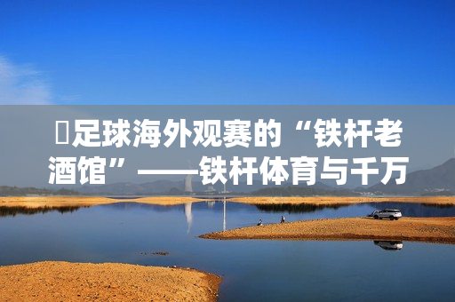 ​足球海外观赛的“铁杆老酒馆”——铁杆体育与千万球迷的十年