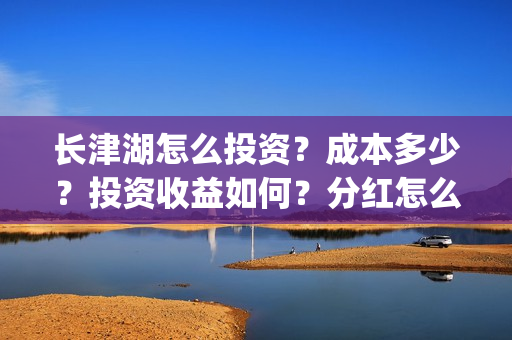长津湖怎么投资？成本多少？投资收益如何？分红怎么分？(长津湖的投资额)