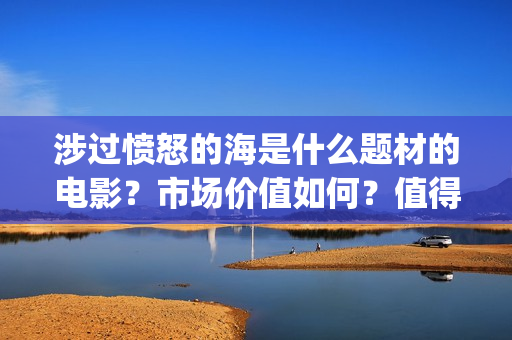 涉过愤怒的海是什么题材的电影？市场价值如何？值得个人投资吗？(涉过愤怒的海是哪年拍的)