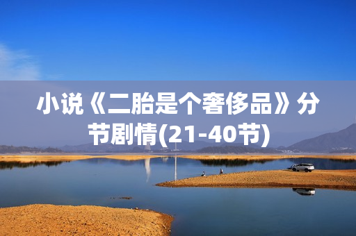 小说《二胎是个奢侈品》分节剧情(21-40节)