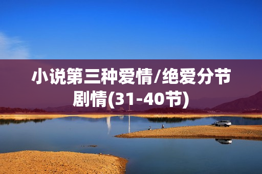 小说第三种爱情/绝爱分节剧情(31-40节)