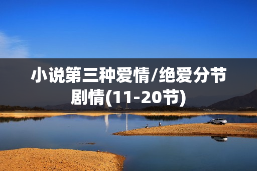小说第三种爱情/绝爱分节剧情(11-20节)