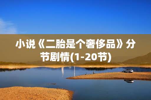 小说《二胎是个奢侈品》分节剧情(1-20节) 小说《二胎是个奢侈品》分节剧情(1-20节)