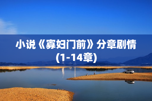 小说《寡妇门前》分章剧情(1-14章)