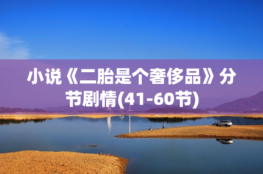 小说《二胎是个奢侈品》分节剧情(41-60节)