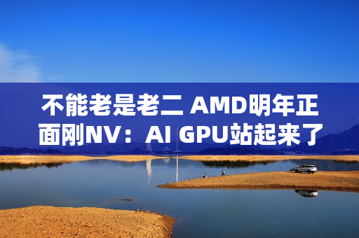 不能老是老二 AMD明年正面刚NV：AI GPU站起来了