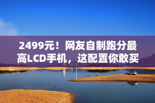 2499元！网友自制跑分最高LCD手机，这配置你敢买吗？