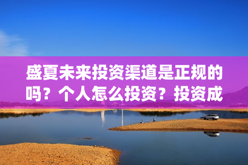 盛夏未来投资渠道是正规的吗？个人怎么投资？投资成本是多少？(盛夏未来能投吗)