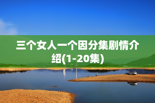 三个女人一个因分集剧情介绍(1-20集)