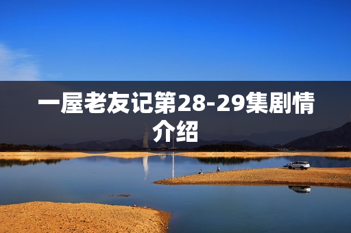 一屋老友记第28-29集剧情介绍